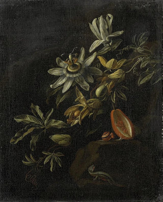 luonnonkuvaus passifloroista - Elias van den Broeck — näkymä teoksesta