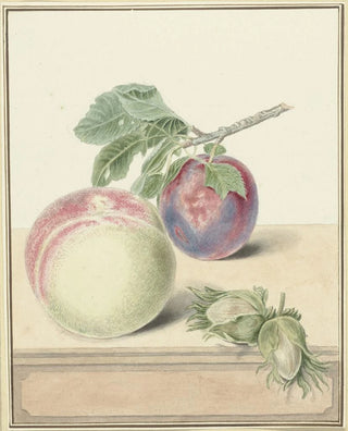 Elisabeth Geertruida van de Kasteele - Perzik een pruim met blad en een paar noten after Michiel van Huysum.webp