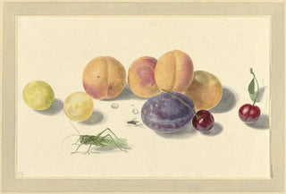Elisabeth Geertruida van de Kasteele - Perziken pruimen kersen en twee insecten after Michiel van Huysum.webp