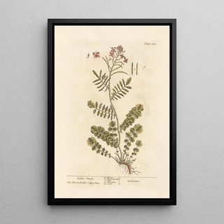 Elizabeth Blackwell - Ladies smock.webp