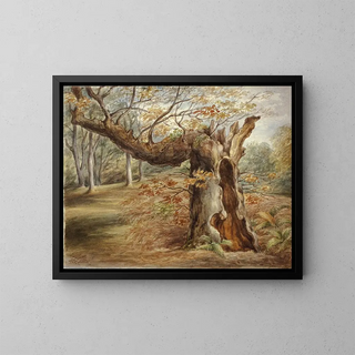 Elizabeth Murray - Rotting Tree.webp