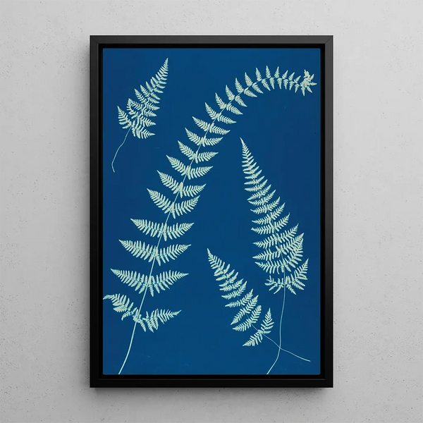 Ella J C Hurd - Ferns of Huntington Long Island Pl08.webp