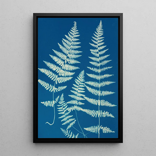 Ella J C Hurd - Ferns of Huntington Long Island Pl26.webp