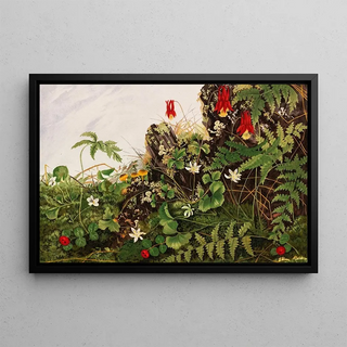 Ellen Robbins - Wild Flowers No 1.webp