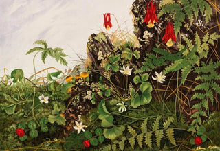 Ellen Robbins - Wild Flowers No 1.webp