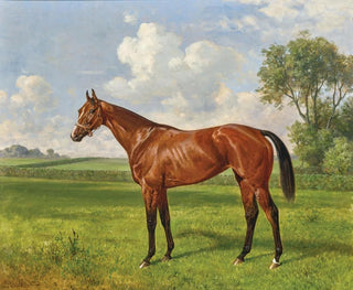 Emil Adam - La Camargo Poulinire  Jardy.webp