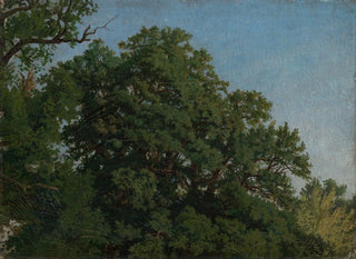 Emil Lugo - Eichenkronen.webp