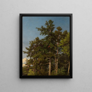 Emil Lugo - Eichenwipfel.webp