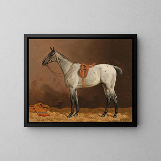 Emil Volkers - A White Horse in the Stable.webp