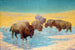 Buffalojen kohtaus - Emil W. Lenders — näkymä teoksesta