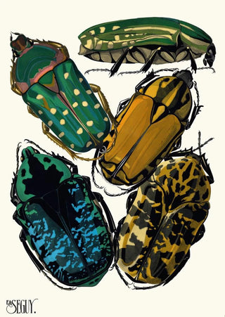 EmileAllain Sguy - Insectes Pl04.webp