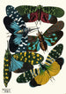 Insektit Maalaus Pl08 - Émile-Allain Séguy — näkymä teoksesta