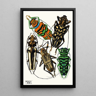 EmileAllain Sguy - Insectes Pl15.webp