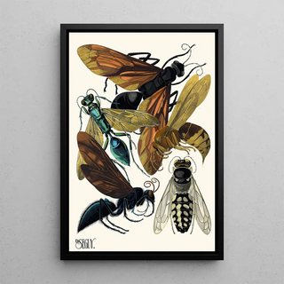 EmileAllain Sguy - Insectes Pl17.webp