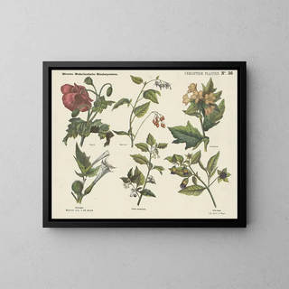 Emrik  Binger - Vergiftige planten.webp