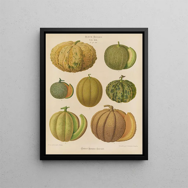 Melons - Ernst Benary — kehystetty taideteos seinällä