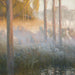 Esprits nocturnes - Gaston La Touche — näkymä teoksesta