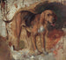Tutkimus punainenkoira - William Holman Hunt — näkymä teoksesta