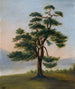 Cèdre-maalaus - F. Bindon Burton — näkymä teoksesta