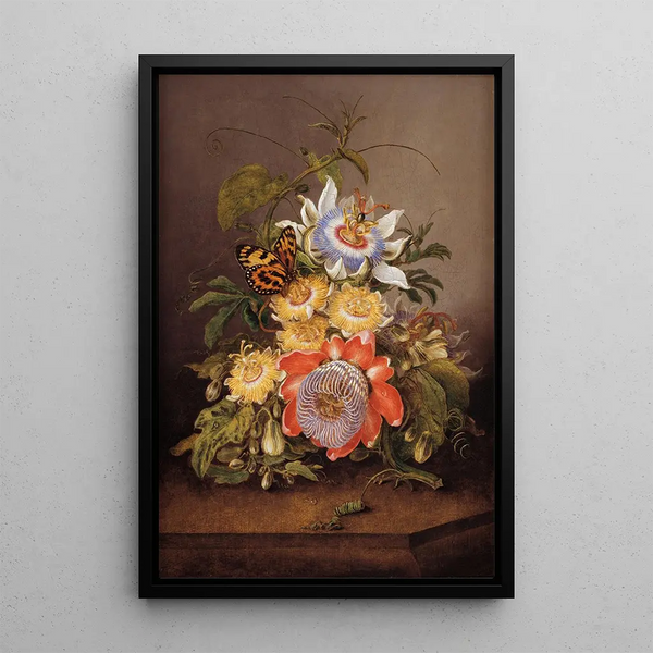 Ferdinand Bauer - Passionflowers.webp