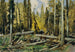 Bohémian metsän - Ferdinand Engelmüller — näkymä teoksesta