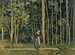 Kävely metsän reunassa - Ferdinand Hodler — näkymä teoksesta