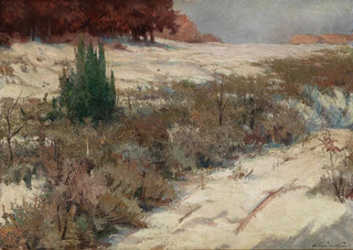 Ferdinand Katona - A Winter Landscape.webp