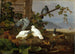 Pigeons - Ferdinand von Wright — näkymä teoksesta