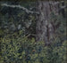 Feuillage - Gustaf Fjstad — näkymä teoksesta