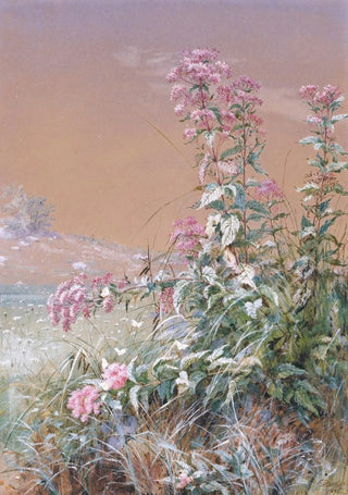 Fidelia Bridges - Untitled.webp