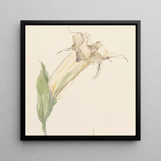 Fleur - Sientje Mesdag Van Houten