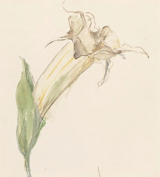 Fleur - Sientje Mesdag Van Houten