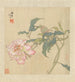 Fleurs et oiseaux Pl 3 - Ren Yi — näkymä teoksesta