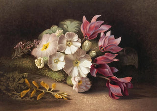 Florence Peel - After the Rains.webp