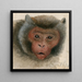 Tête d'un singe à longue queue - Floris Verster — kehystetty taideteos seinällä