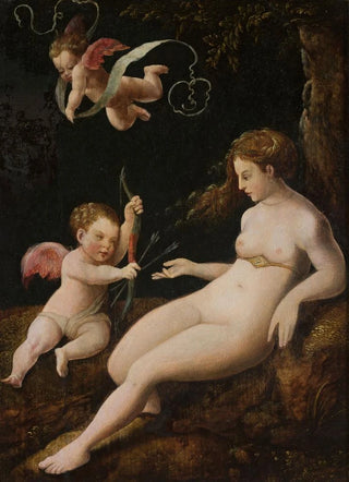 Follower of Lucas van Leyden - Venus with a cupid.webp