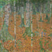 Koivumetsä - Gustav Klimt — näkymä teoksesta