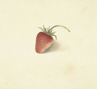 Fraise - Elisabeth Geertruida van de Kasteele