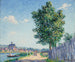 Le peuplier, auringon vaikutus Villeneuve-sur-Yonne - Francis Picabia — näkymä teoksesta