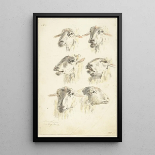 Franciscus Andreas Milatz - Studieblad met zes schaapskoppen.webp