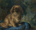 Pékinois - François-Charles Cachoud — näkymä teoksesta