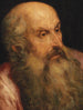 Tutkimus parrakas miehestä - Frans Floris — näkymä teoksesta