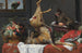 Luonnonkuvaus kuolleesta peurasta - Frans Snyders — näkymä teoksesta