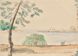 Franz Barwig the Elder - Kste in Florida.webp