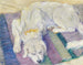 Koiran makuulla, koiran muotokuva - Franz Marc — näkymä teoksesta
