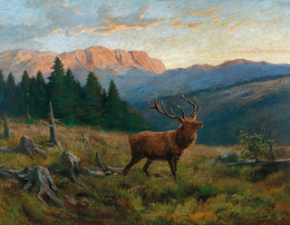 Kuninkaallinen peura auringonlaskussa - Franz Xaver von Pausinger — näkymä teoksesta