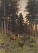 Frans Xaver von Pausinger — näkymä teoksesta
