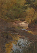 Uudenseelannin metsissä - Frederic Edwin Church — näkymä teoksesta