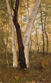 Metsissä Hudson New York - Frederic Edwin Church — näkymä teoksesta