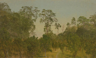 Frederic Edwin Church - Landscapes.webp